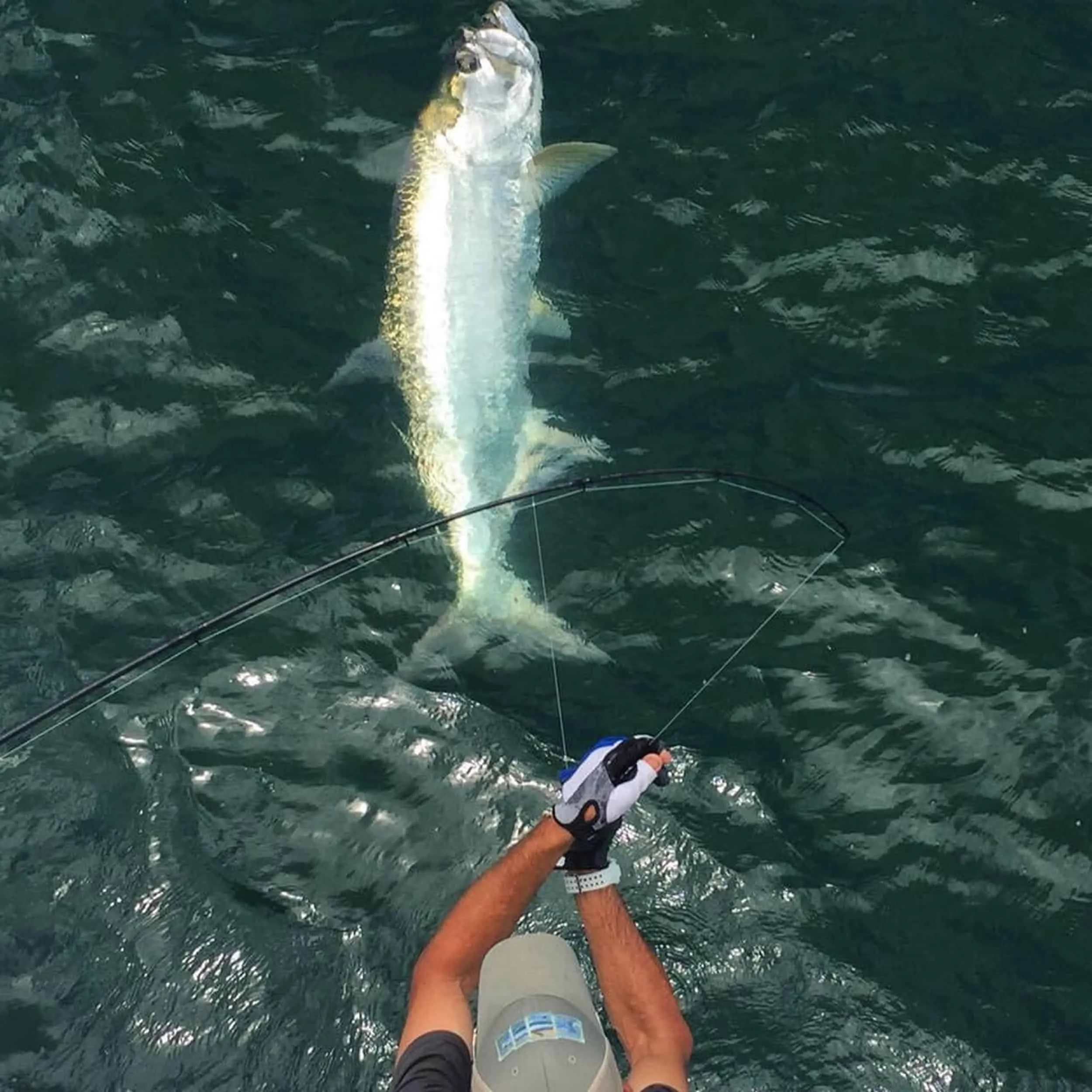 Client with a tarpon aboard Captain David White's charter