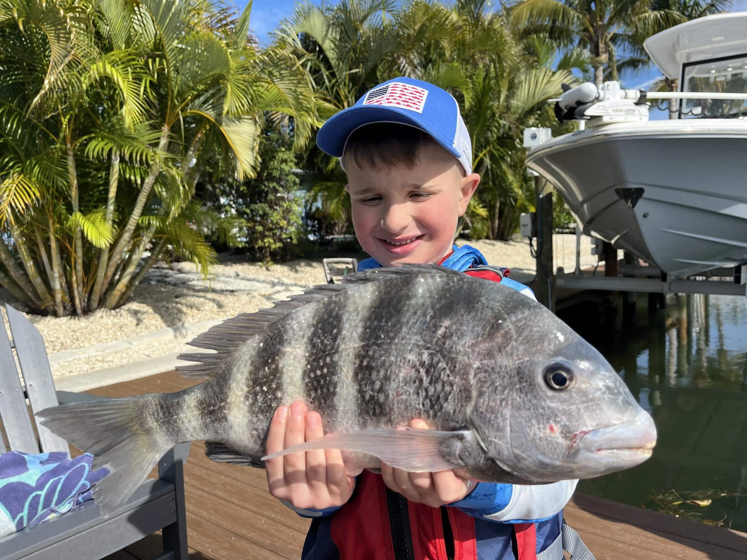 Child on a dock holding a large sheepshead