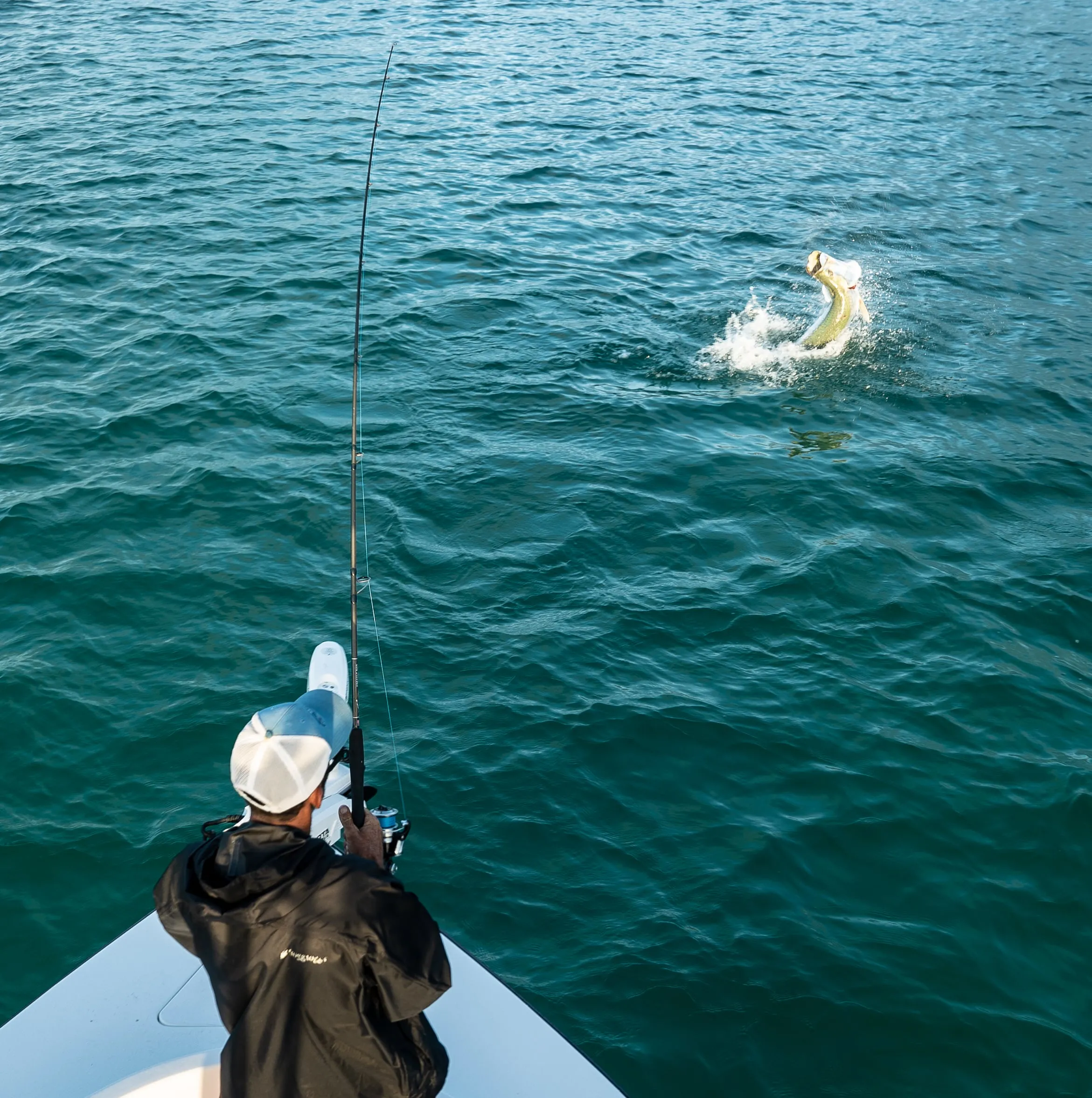 Tarpon fishing with Captain David White