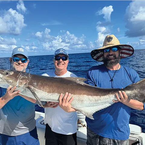 Three clients holding large cobia