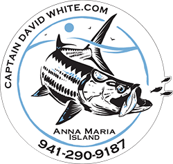 Captain David White logo