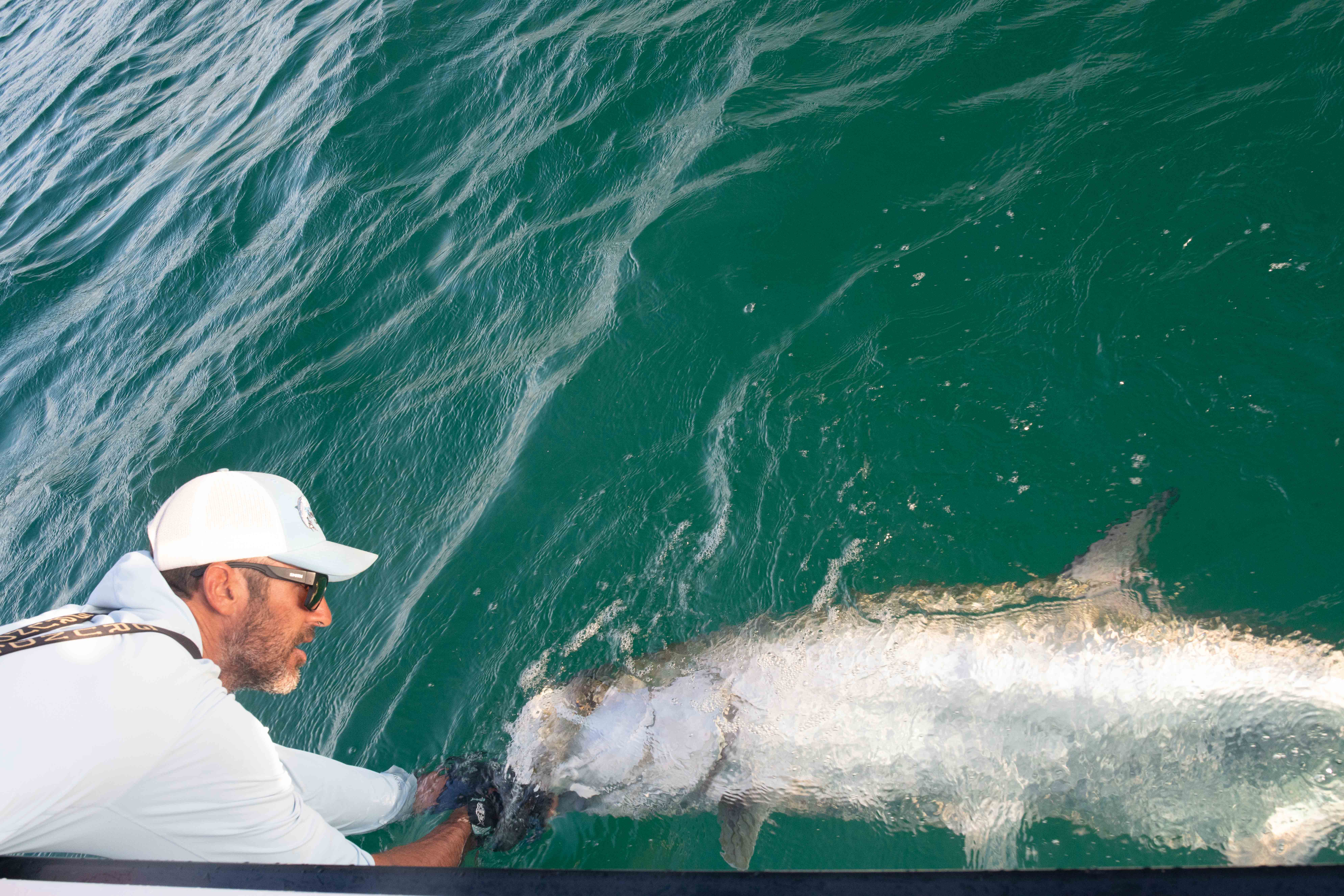 Tarpon Fishing Adventure